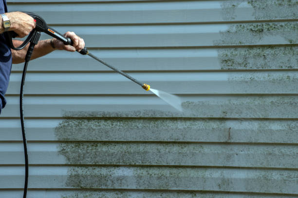 Professional Pressure Washing in Paris, KY